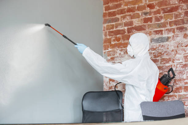 Best Mold Odor Removal Services  in Eugene, OR