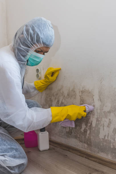 Best Residential Mold Inspection & Testing  in Eugene, OR