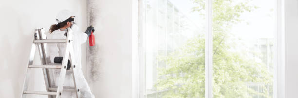 Best Mold-Related Health Consultation  in Eugene, OR