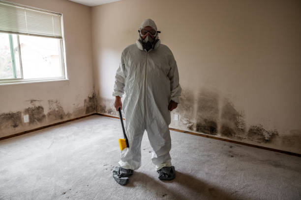 Professional Mold Removal in Eugene, OR