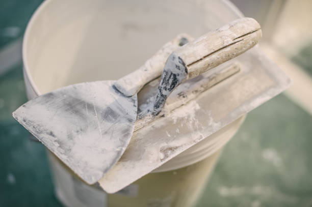 Best Basement Mold Removal  in Eugene, OR