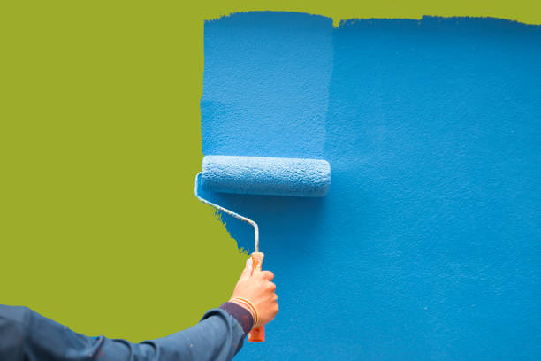 Best Mold Damage Restoration  in Eugene, OR